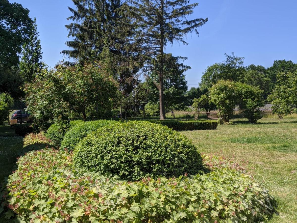 דירות Neuenkirchen Moritzhagen מראה חיצוני תמונה
